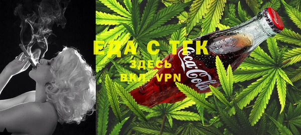сатива Нягань