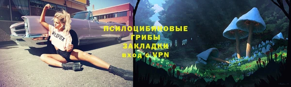 mdma Няндома