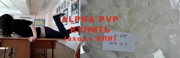 PSILOCYBIN Ветлуга
