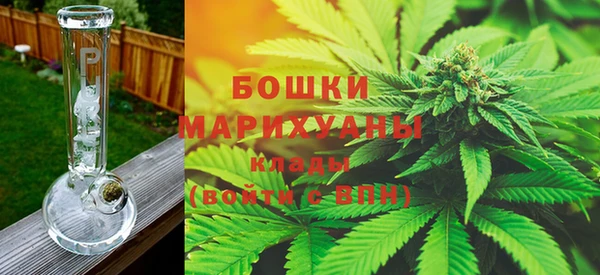 ГАЛЛЮЦИНОГЕННЫЕ ГРИБЫ Нязепетровск