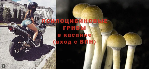 ГАЛЛЮЦИНОГЕННЫЕ ГРИБЫ Нязепетровск