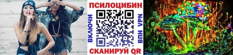 наркошоп  Черногорск  Псилоцибиновые грибы MAGIC MUSHROOMS 