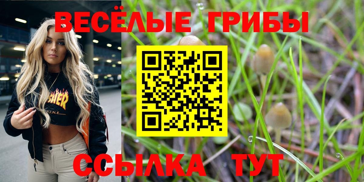 Галлюциногенные грибы прущие грибы  Вход с VPN  Черногорск 